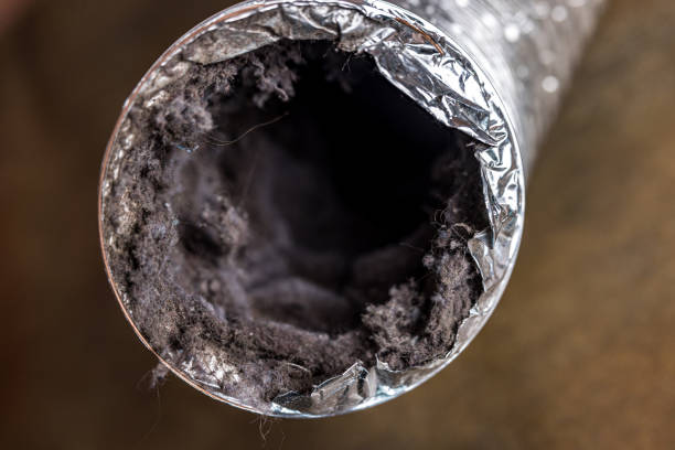 Best Home Air Vent Cleaning  in Toulon, IL