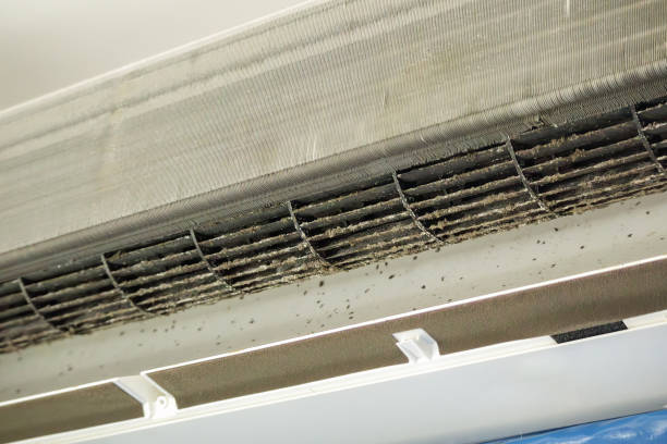 Best Emergency Air Duct Cleaning  in Toulon, IL