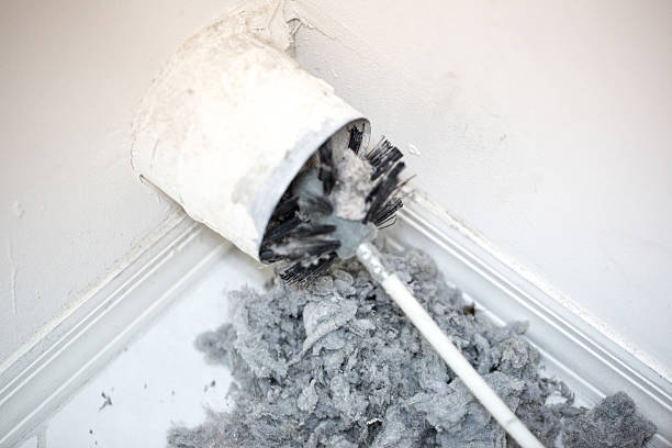 Best Ductwork Cleaning Services  in Toulon, IL